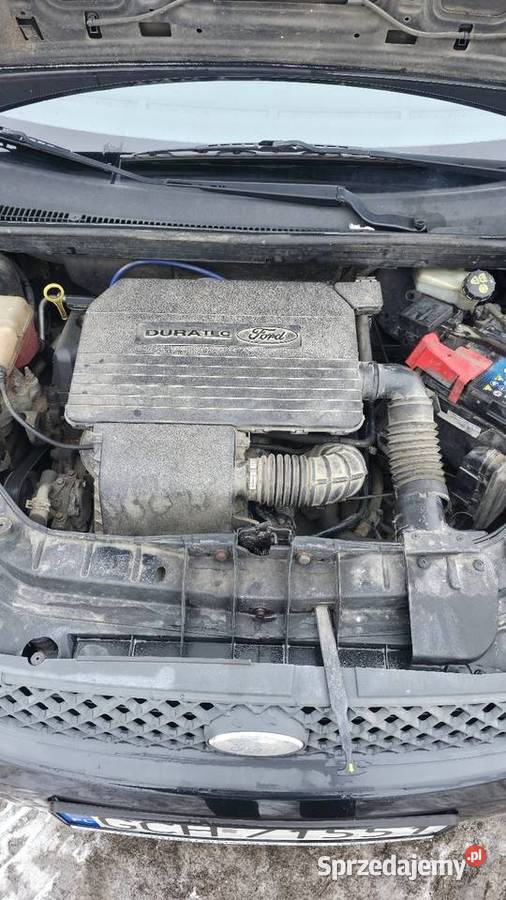 Sprzedam ładnego Forda fiestę polift Rok produkcji 2006 Chodzież