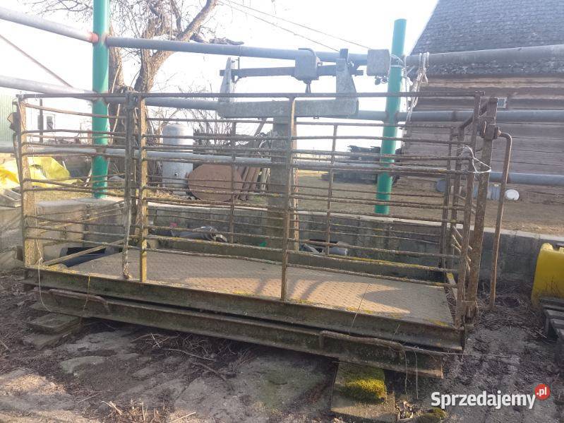 Waga inwentarzowa Pozostałe Radzyń Podlaski