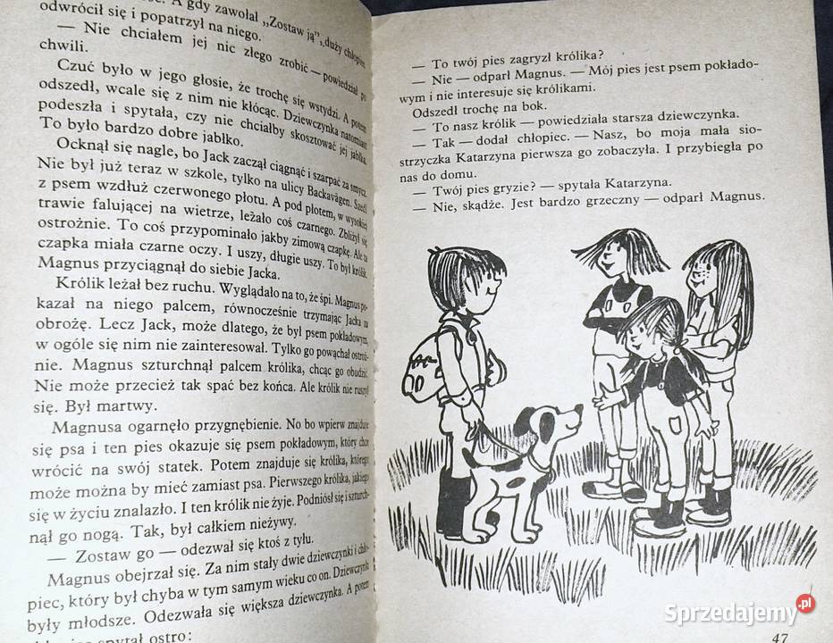 Magnus i pies pokładowy Jack Hans Peterson lubelskie Chełm sprzedam