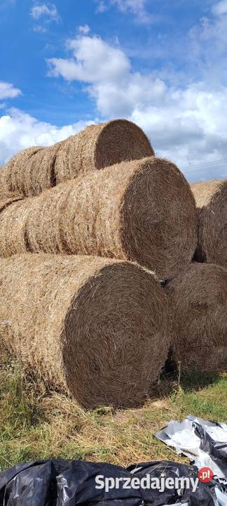 Prasa rolująca gallignani 9250s kujawsko-pomorskie Lipno