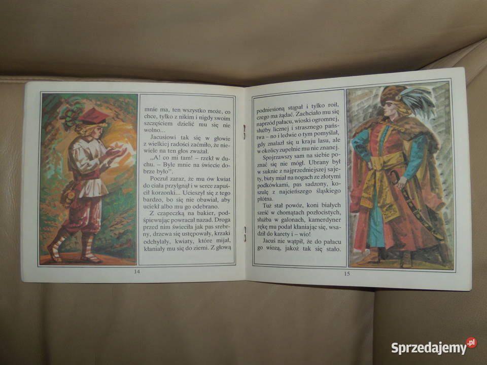 Kwiat paproci Józef Ignacy Kraszewski mazowieckie Warszawa