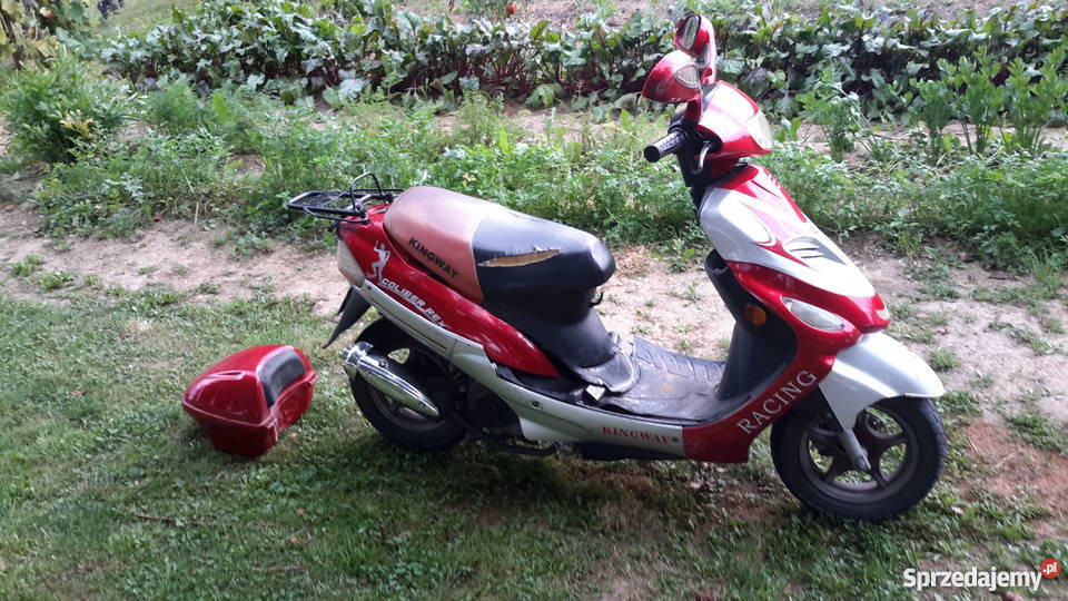 Skuter Kingway Coliber Rex Brzeźnica