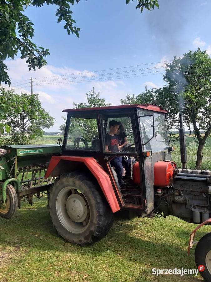 Siewnik amazone d5 typ 30 szerokość 3m Siewniki i sadzarki Krotoszyn