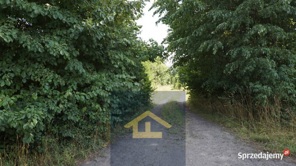 Działka gruntowa w Otwocku Wielkim pałacem 118m Otwock Wielki