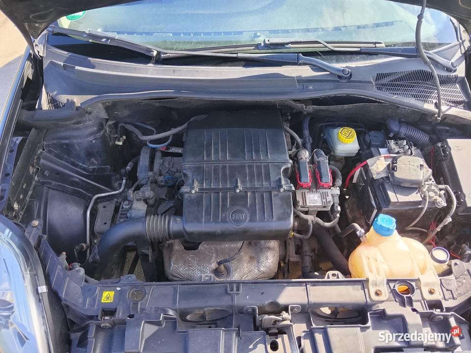 Fiat Punto Radzyń Podlaski