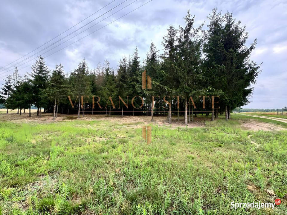 Malownicza działka w otoczeniu zieleni MPZP Nieruchomości mazowieckie Gąba