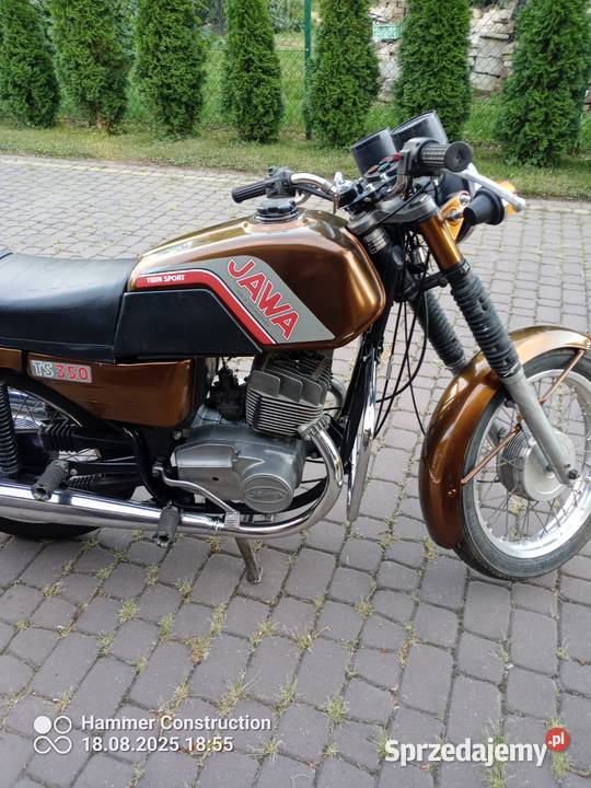 Jawa 350 Ts miedziana perła