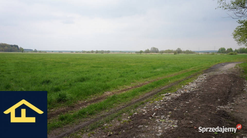 Nieruchomość w Całowaniu Całowanie sprzedam