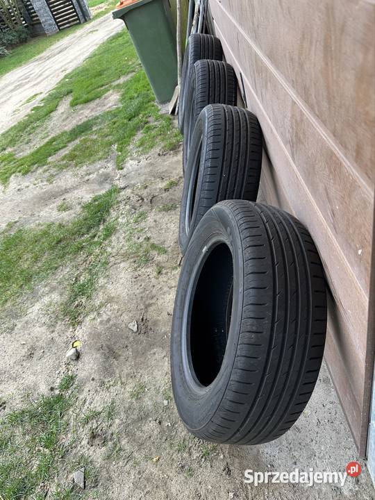 Opony letnie Nexen21560 R16 Zadębieniec