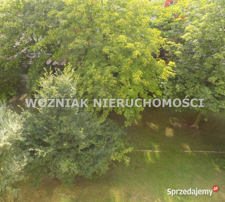 sprzedaży mieszkania Wałbrzych 525m2 3 pokojowe
