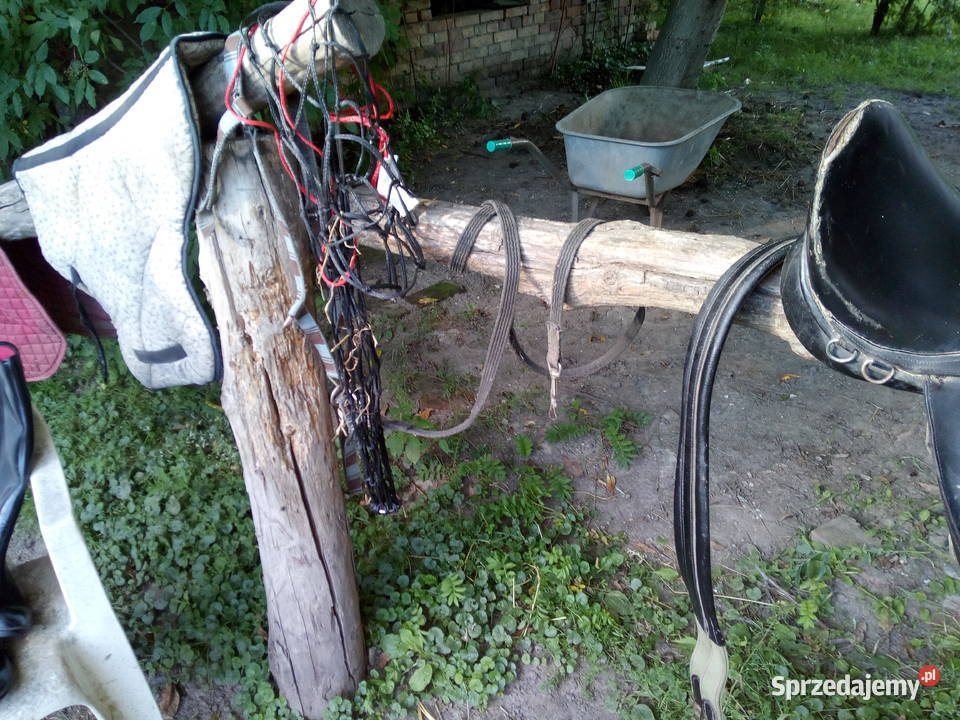 Akcesoria jedzieckie Pozostałe Nowa Cerekwia