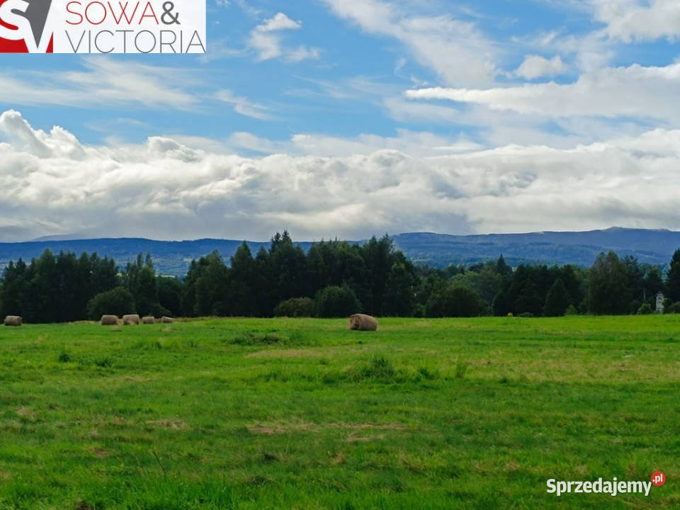 Pięknie położona działka budowlana w Grudzy Sprzedaż