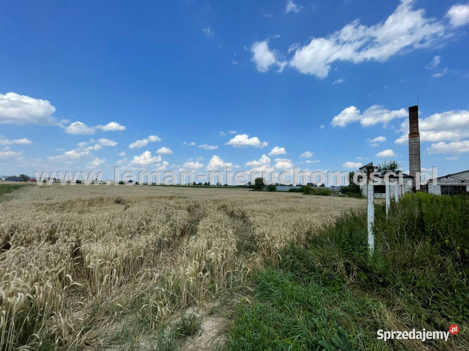 sprzedaży gruntu 16952m2 Szopinek