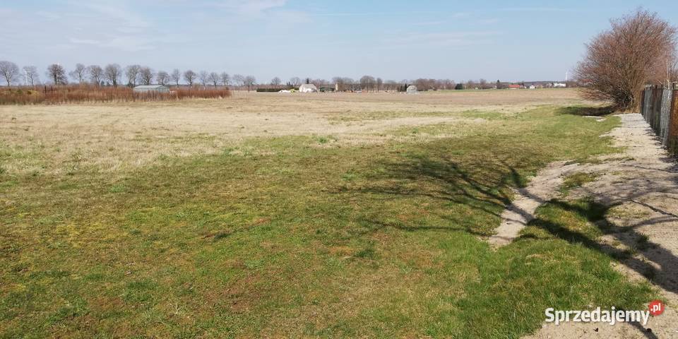 Działka budowlana z warunkami zabudowy Sprzedaż Robuń
