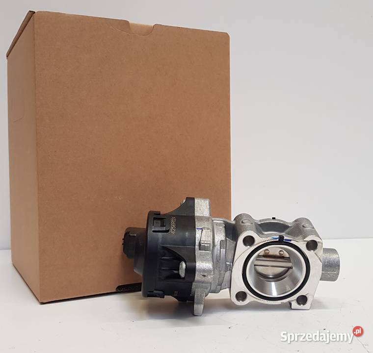 Nowy zawór EGR BORGWARNER 3653006 3653006 Siedlce