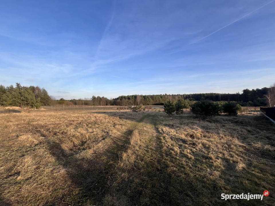 Ładna działka budowlana Potasze Puszcza Zielonka 2994m2 sprzedam