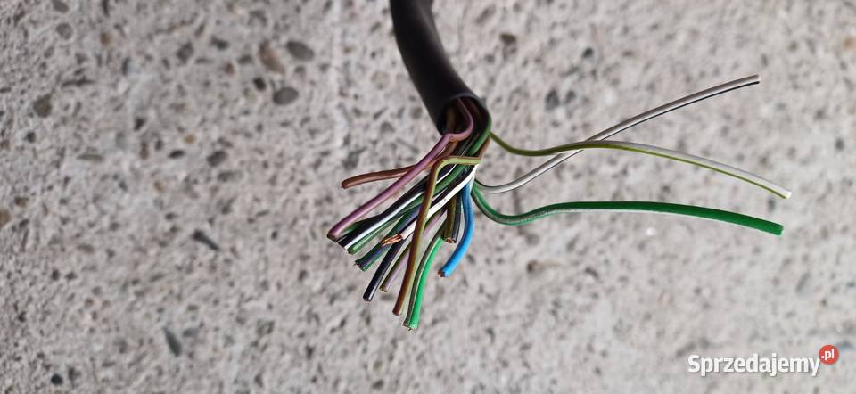 Bmw E30 swap wtyczka c101 do wiązki silnika małopolskie Kraków sprzedam