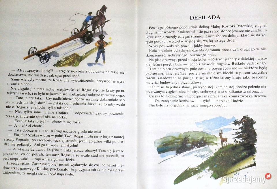 Rogaś z Doliny Roztoki Maria Kownacka