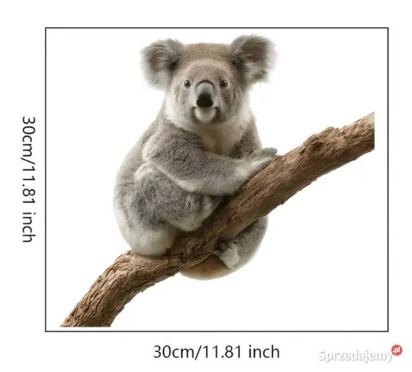 Naklejka folia na szybę z Misiem Ząbki