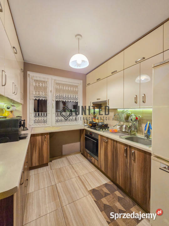 Pałuckiej Rozkład Balkon Piwnica Wrocław