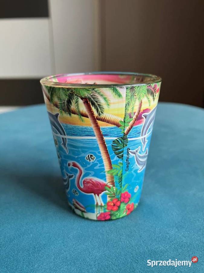 Nowy świetny zestaw z Florydy kieliszek Nisko