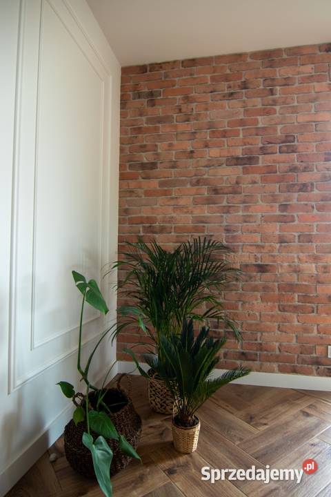 Stare Cegły na Ścianę cegły na elewacje płytki Poznań
