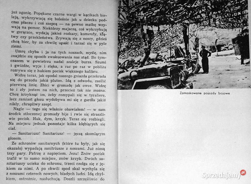 wzgórza Italii Wacław Pietrzak sprzedam