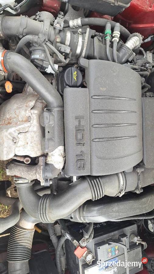 Citroen Berlingo 16 HDI Raczyn