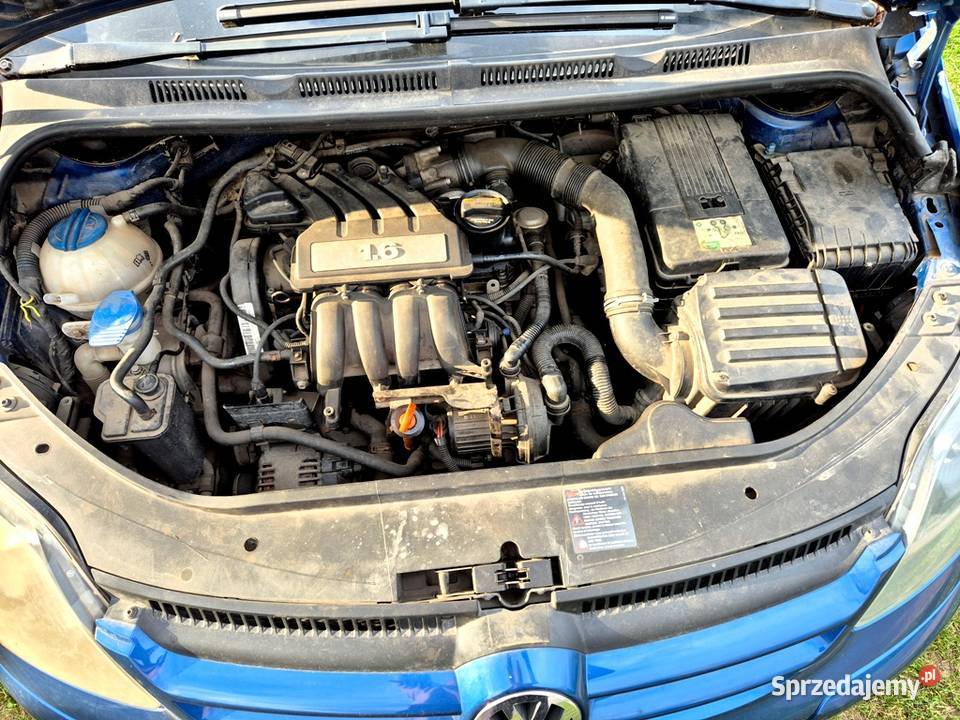 Vw Golf Plus 2007 16 MPI benzyna 102 226012km Grudziądz