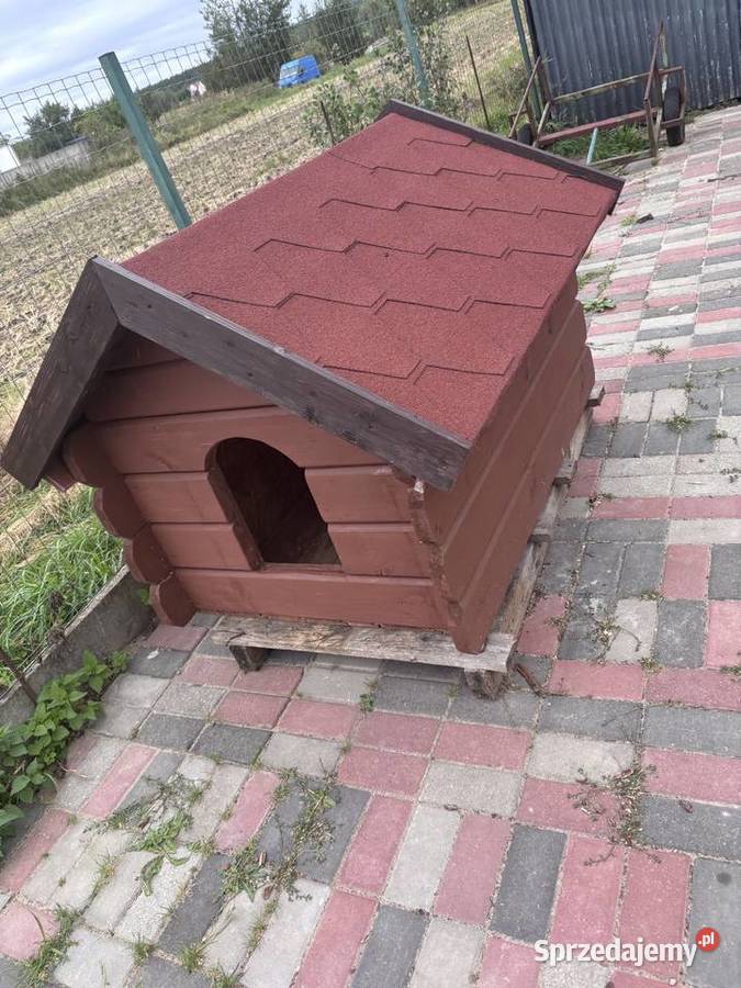 Buda psa Święta Katarzyna