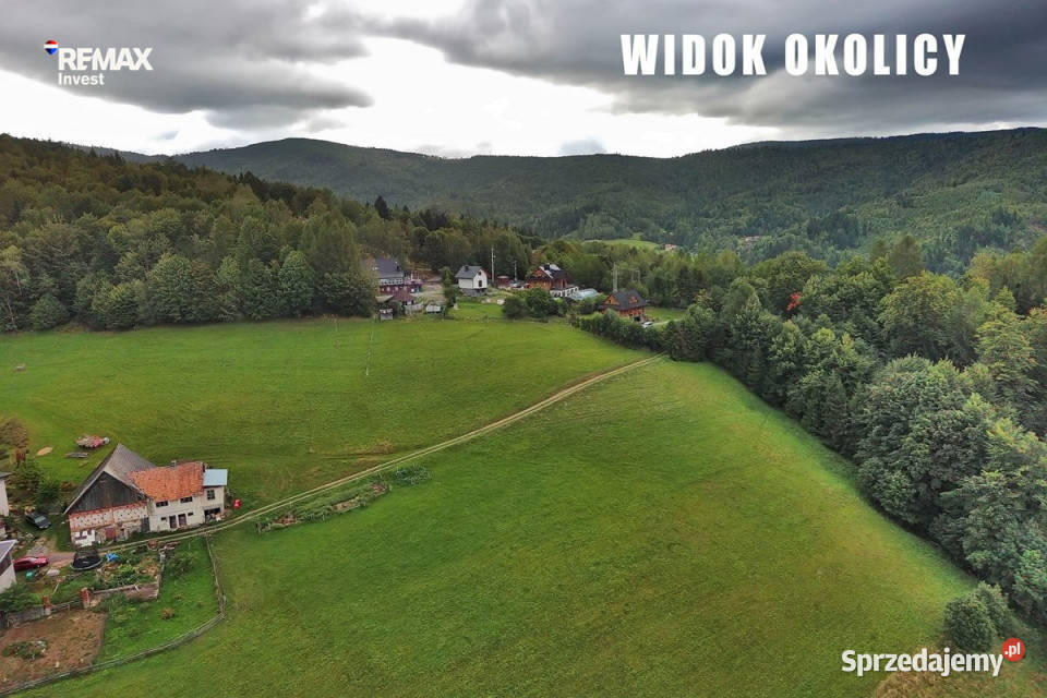 Bliskość lasu i górskiej natury śląskie Wisła