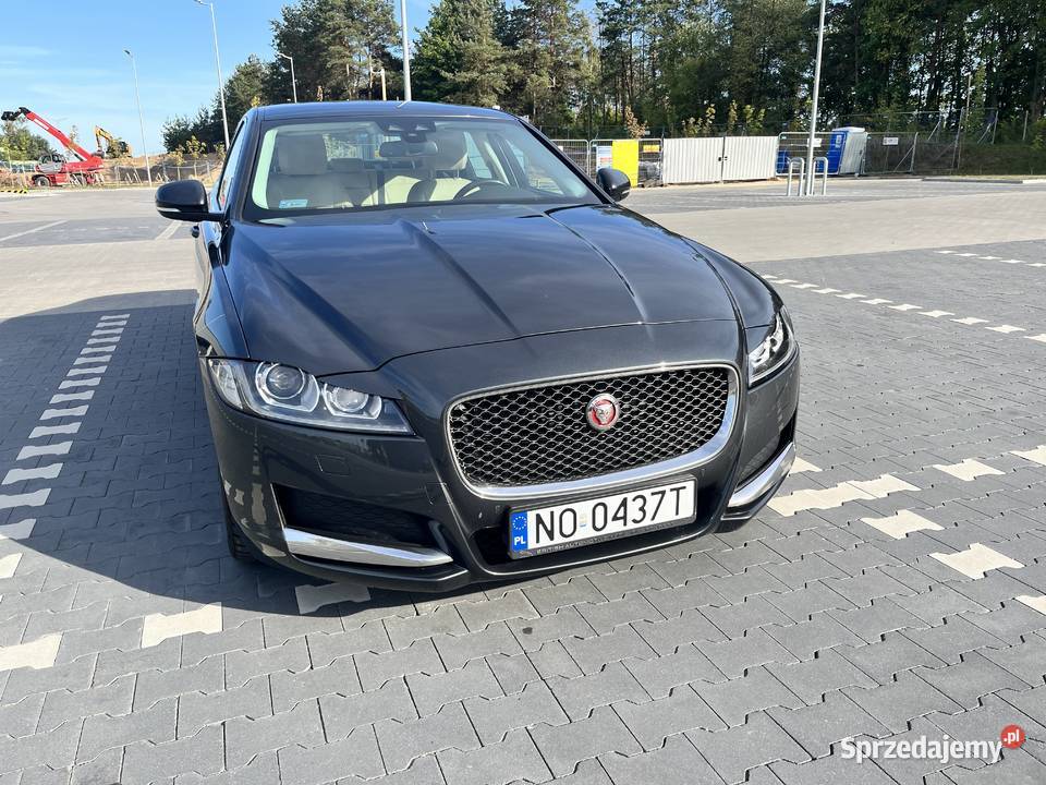Jaguar XF 2017 zadbany 163KM Białystok sprzedam