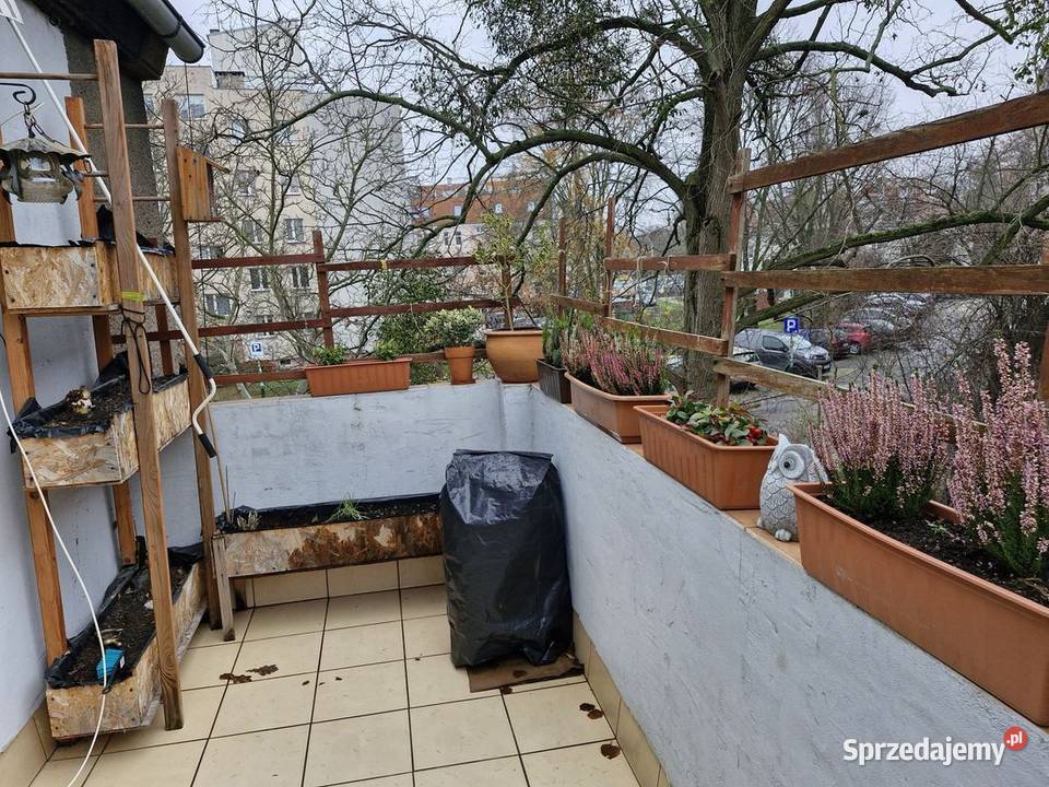 3pok 79met Sportowej BALKON PIWNICA OGRÓD GARAŻ 10494zł/m2