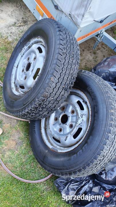 Opony R1621575 pełne koła Ford zima Samochodowe Jędrzychów sprzedam