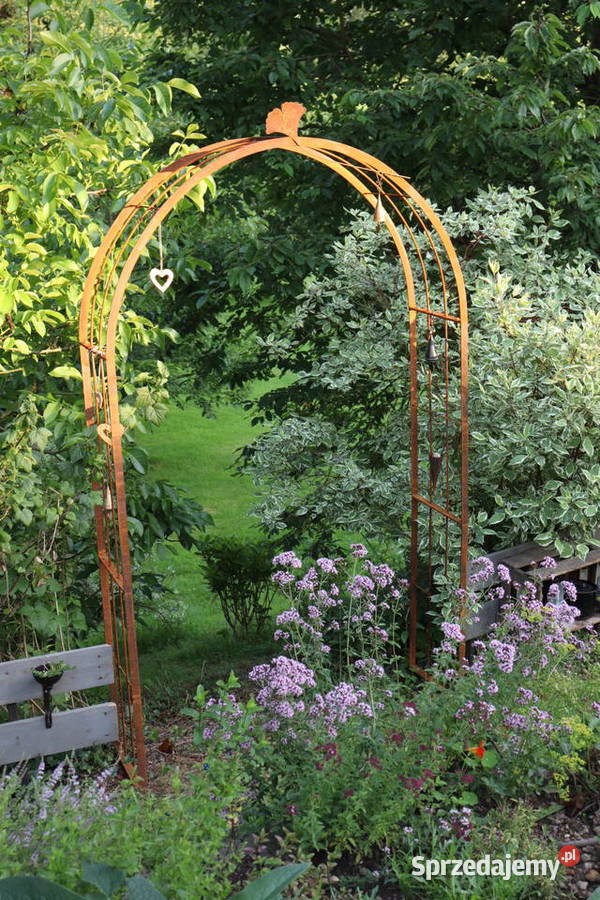 Pergola Ogrodowa Łuk Różany Łuk Bluszcz Róże Pozostałe