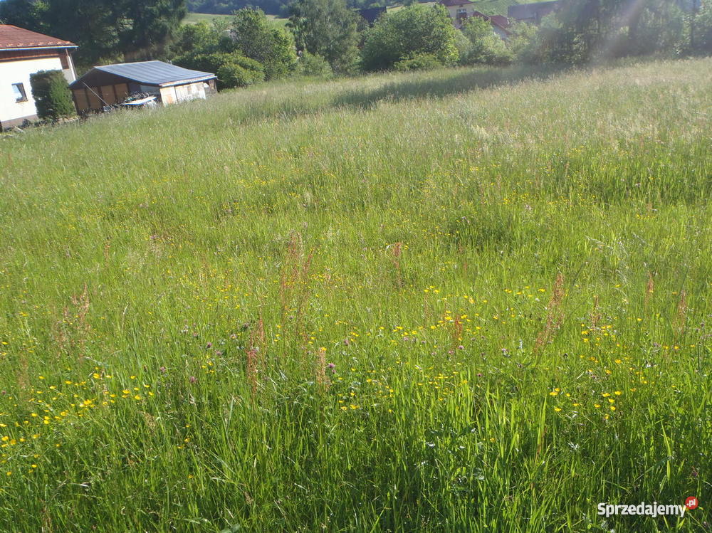 działki budowlane w górach Jastrzębik
