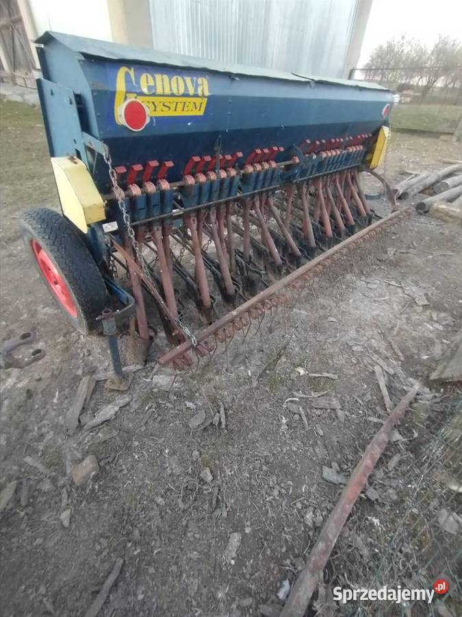 Siewnik poznaniak lubelskie Biłgoraj