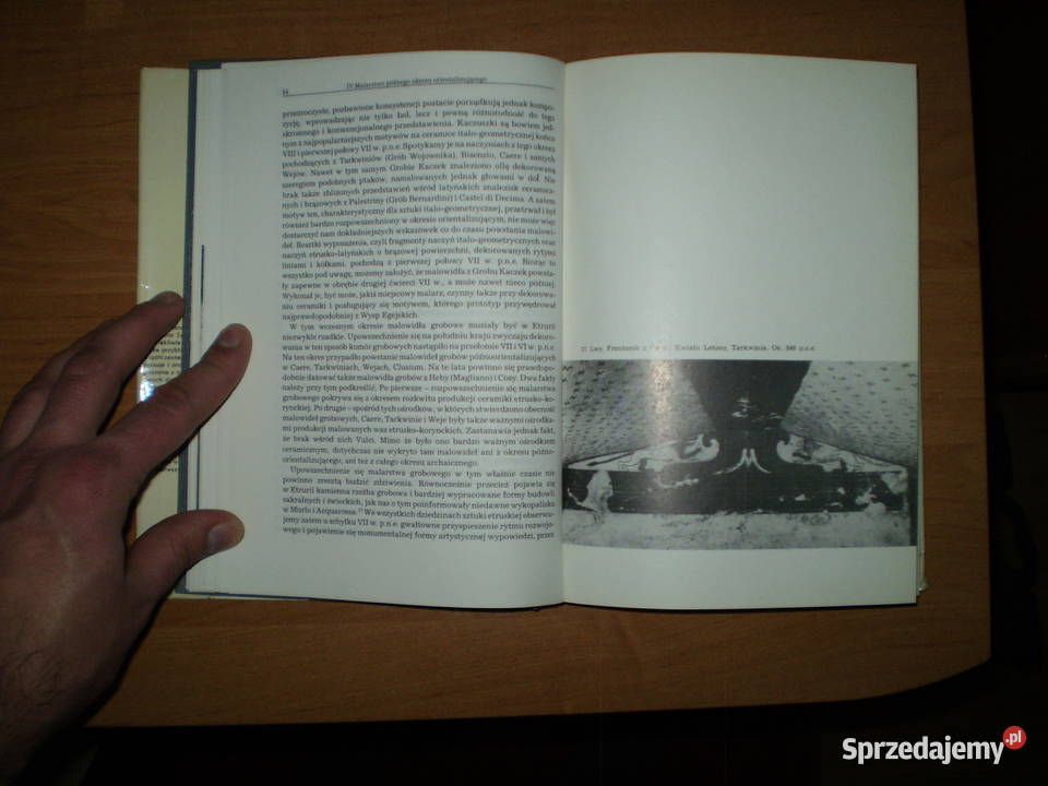 Malarstwo Etruskie Rok wydania 1995 Poradniki, albumy i reportaże Książki i Podręczniki Kielce