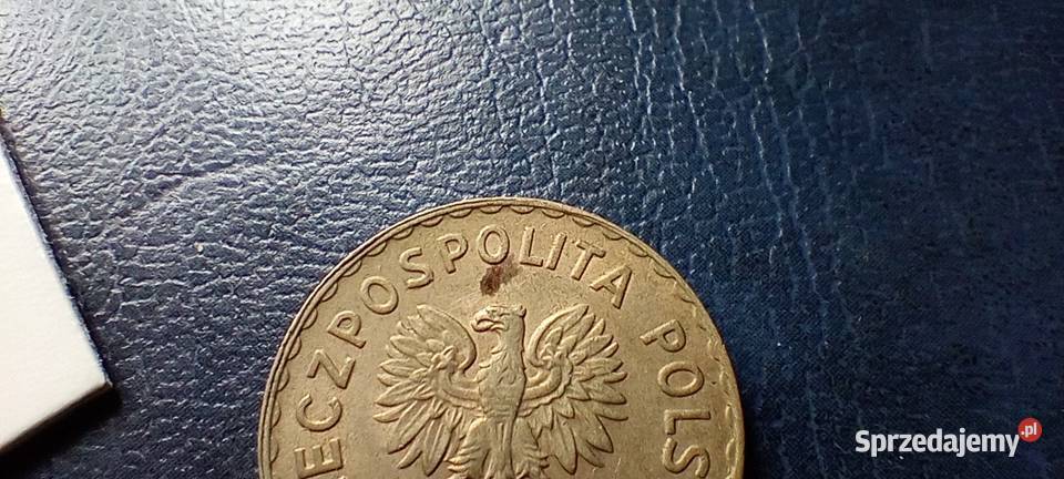 Stare monety 1 złoty 1949 MN PRL Polska 2