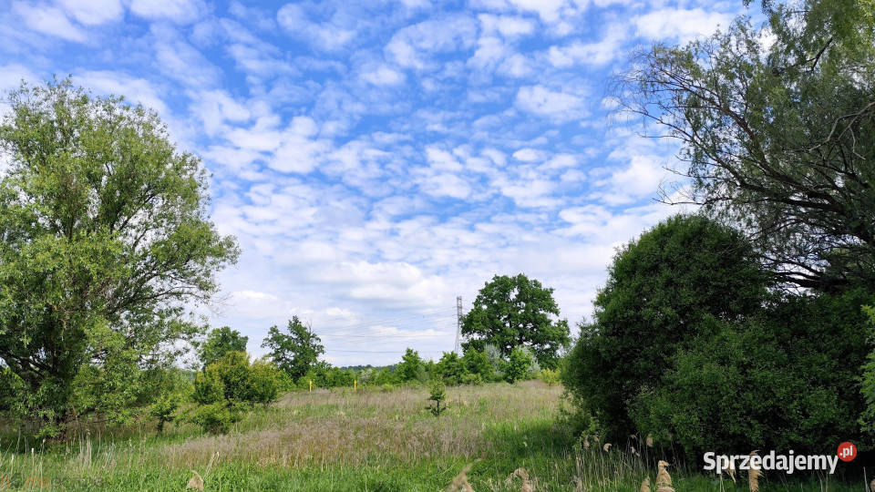 sprzedaży domu bliźniaka 13304m2 Siechnice