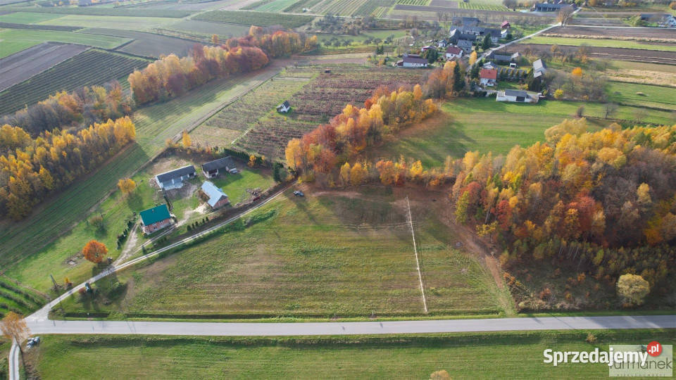sprzedaży działki TeodorówkaKolonia 2644m2 Teodorówka-Kolonia