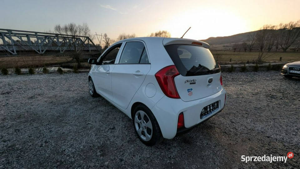 Kia Picanto Zadbane miejskie autko III 2017 benzyna Kamienna Góra sprzedam