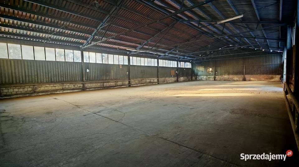 Do wynajęcia hala magazyn 450 m Naterki k Wynajem warmińsko-mazurskie