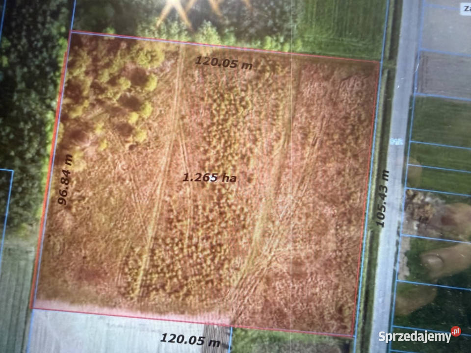 Działka 126 ha pod zabudowę WZ projekt Sprzedaż Piotrków Trybunalski