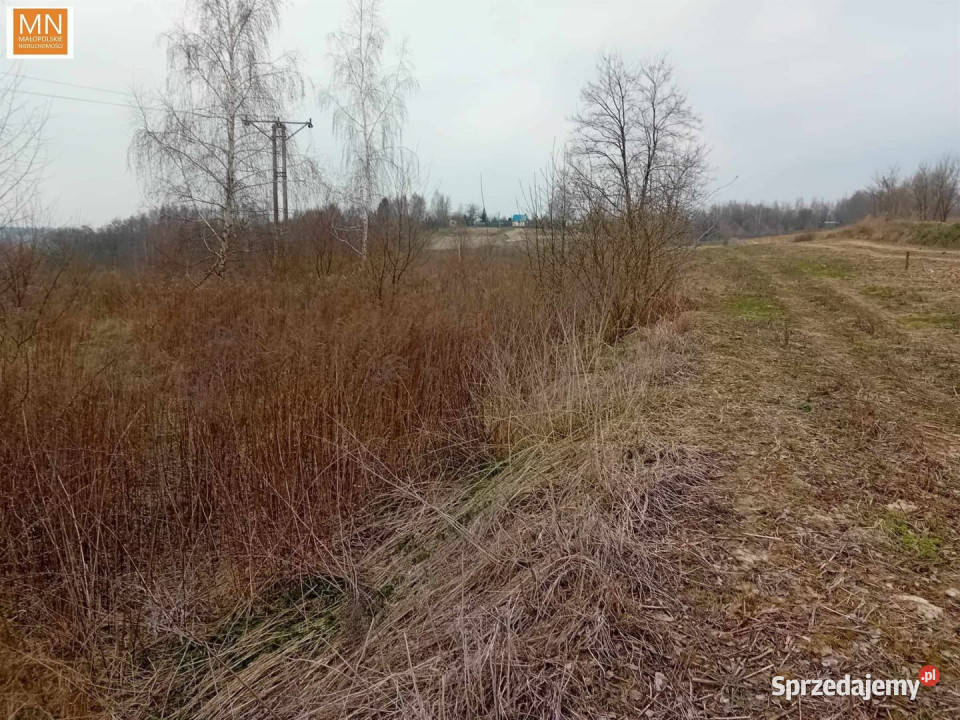 Grunt na sprzedaż 2560m2 Wysiołek Luborzycki budowlana małopolskie