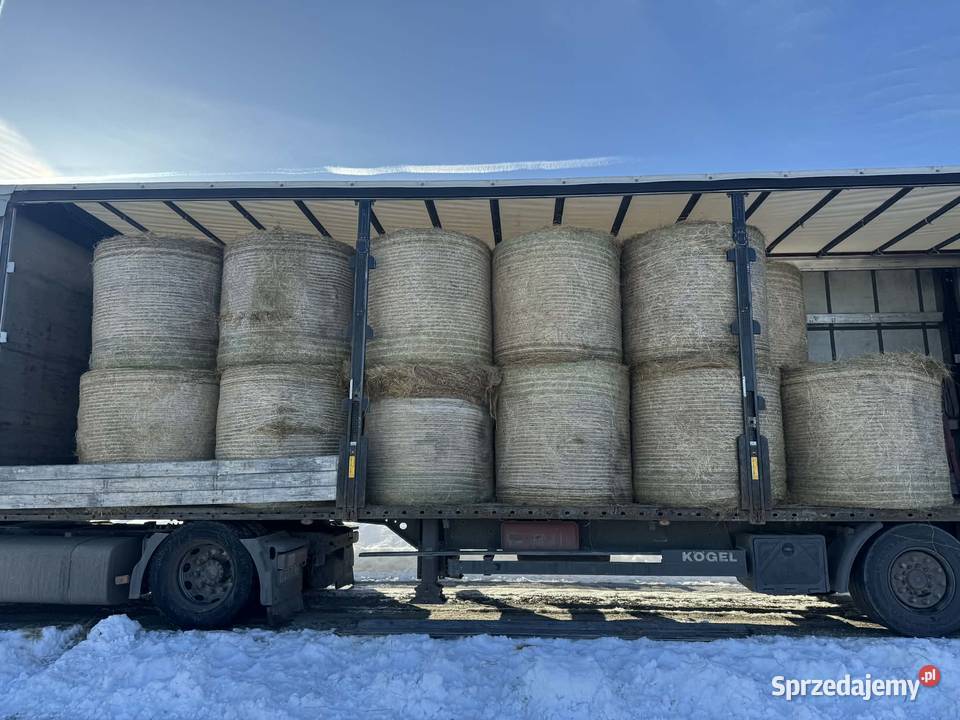 Siano Bele siana 120x130 TRANSPORT małopolskie Kasina Wielka