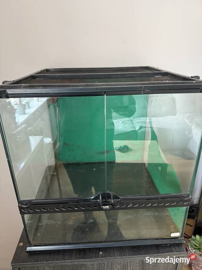 Terrarium exo terra 45x55 wielkopolskie Poznań