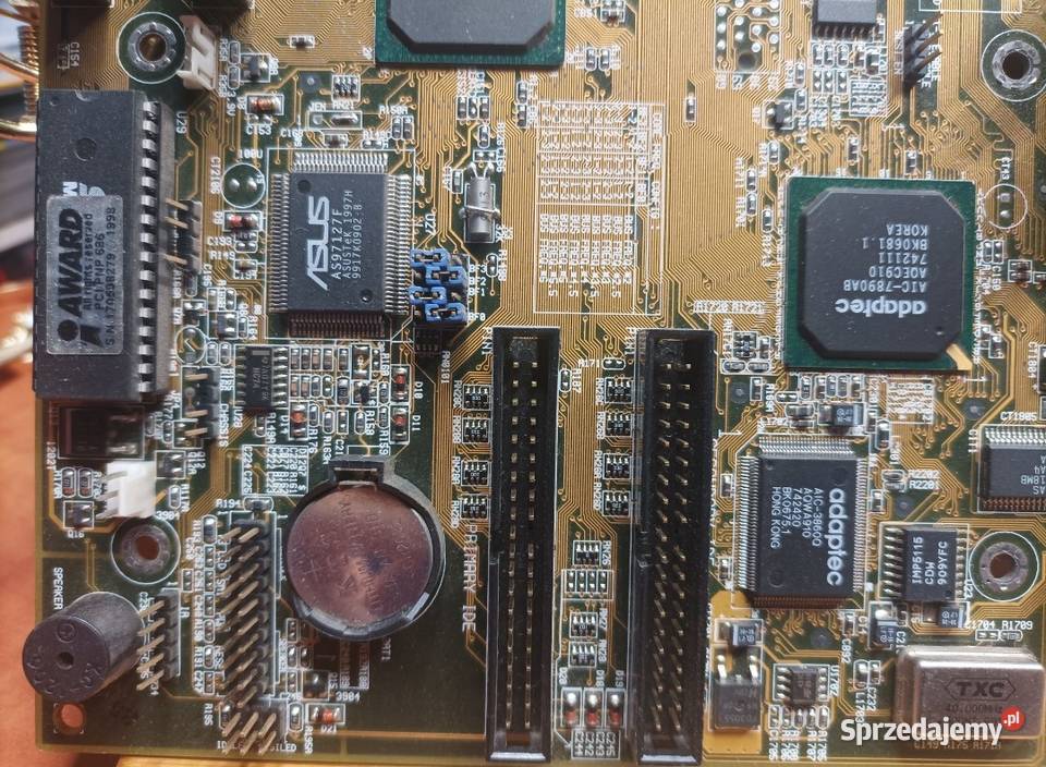 Asus P2BS Poznań