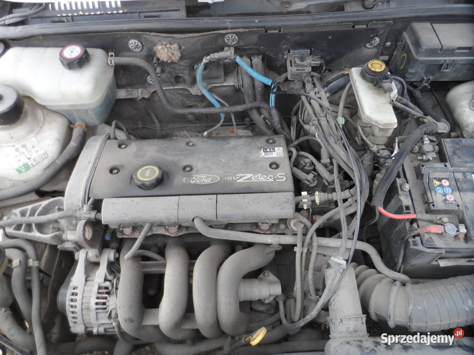 ford silnik 14 ZETEC Legnica