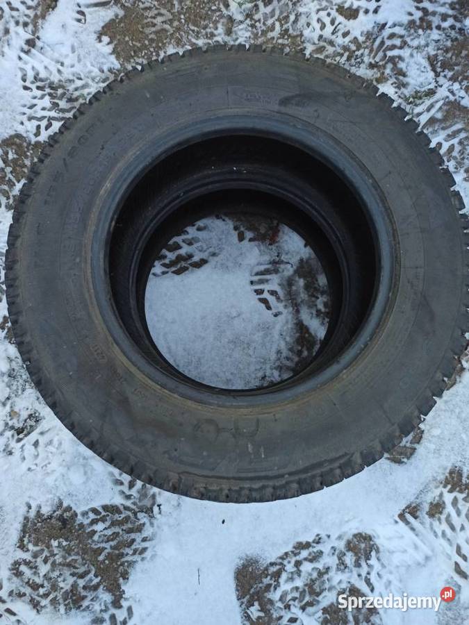 Opony zimowe Dębica frigo 15580 13 okazja tanio Pułtusk